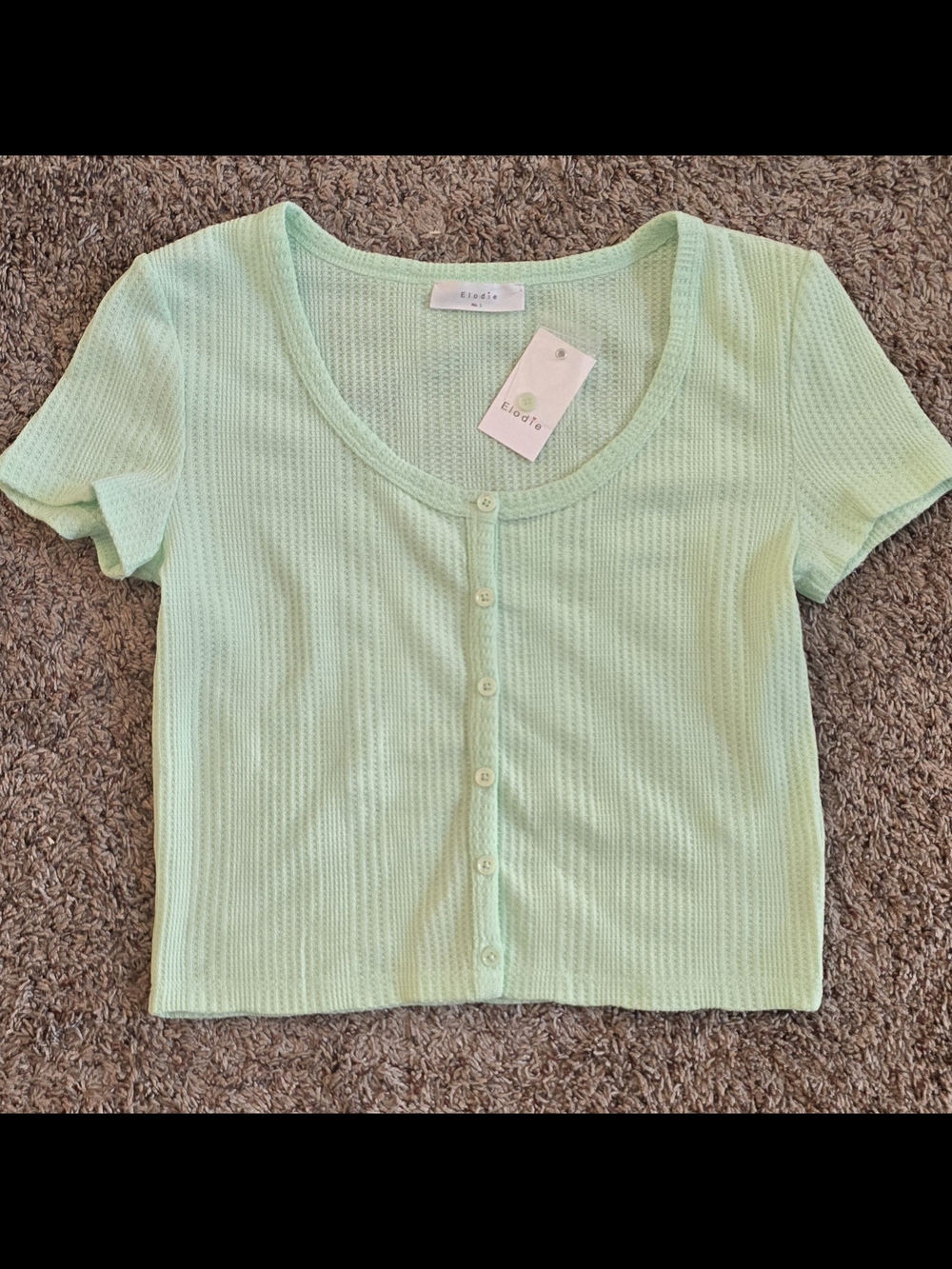 Elodie Mint Ribbed Button Front Crop Top Size L